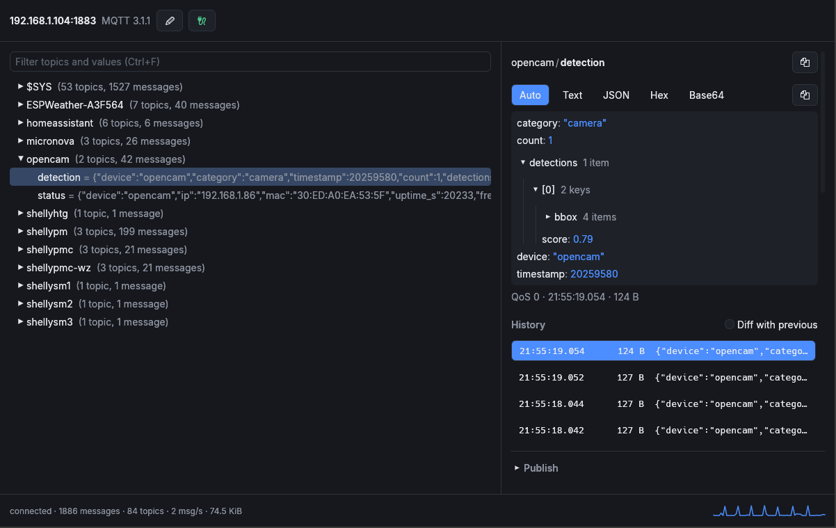 rstmqtt: topic tree on the left, message details and publishing on the right